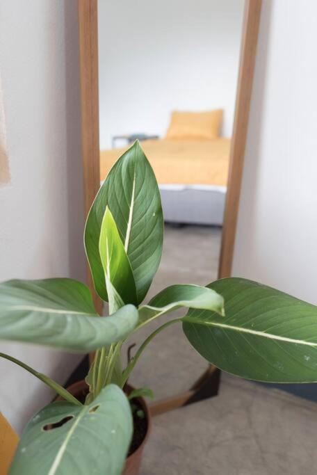 Nappo 2 Alajuela, Heredia,sjo,5min From Airport No Parking * Guacima